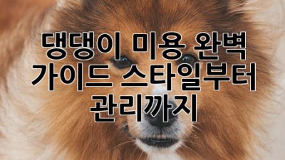 댕댕이 미용 완벽 가이드: 스타일부터 관리까지🐶
