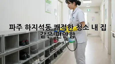 파주 하지석동 쾌적한 청소: 내 집 같은 편안함